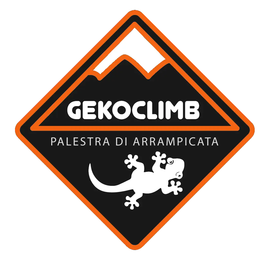 Logo Geko